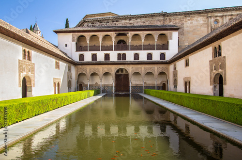 Camares Patio of Alhambra  Granada  Spain