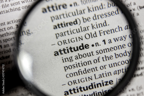 The word or phrase attitude in a dictionary.