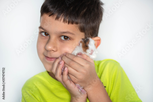 little boy holds a white guinea pig, concept of friendship of children and pets