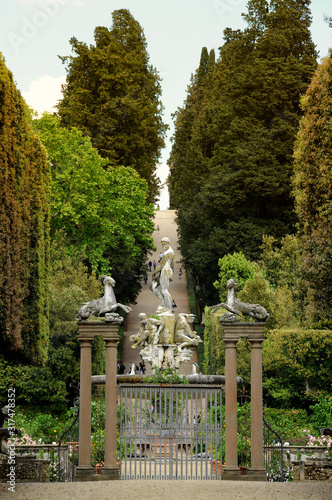 Florence, Italy. Boboli Gardens during a sunny day in spring season. Neptune fountain in the center of the Boboli Gardens. The Sculptor, Stoldo Lorenzi. photo