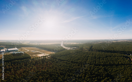 drone photo of the forest of Gruenheide, Berlin Brandenburg, Tesla giga factory