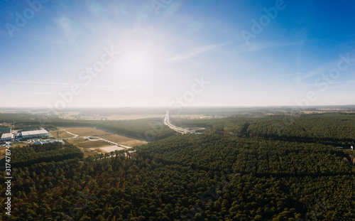 drone photo of the forest of Gruenheide, Berlin Brandenburg, Tesla giga factory photo