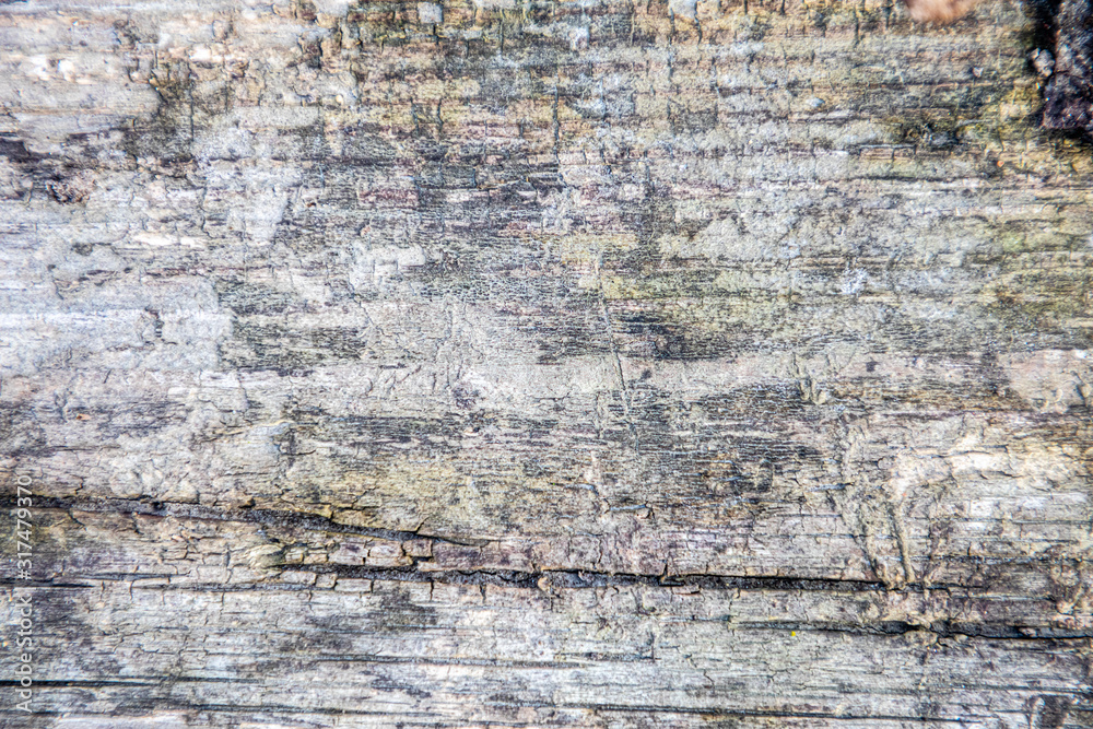 Old Dark rough wood floor or surface with splinters and knots. Background with flooring or boards with wood grain. Old aged timber in a barn or old house. Old Dark rough wood floor or surface with splinters and knots. Background with flooring or boards with wood grain. Old aged timber in a barn or old house.
