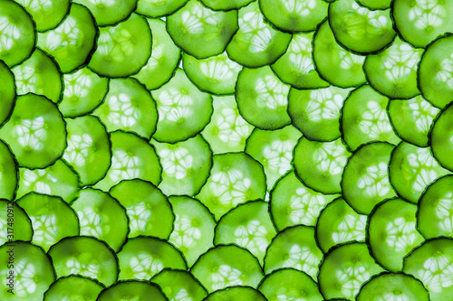 Obraz na płótnie Textured background of multiple translucent overlapping backlit fresh green cucu