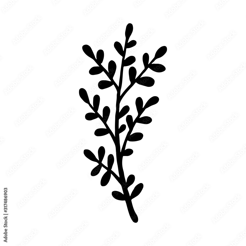 Hand drawn plants and tree branches with leaves. Vector floral silhouettes. Graphic design elements. Black and white botanical illustration. Hand drawn plants and tree branches with leaves. Vector floral silhouettes. Graphic design elements. Black and white botanical illustration.