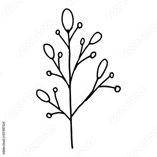 Hand drawn plants and tree branches with leaves. Vector floral silhouettes. Graphic design elements. Black and white botanical illustration.