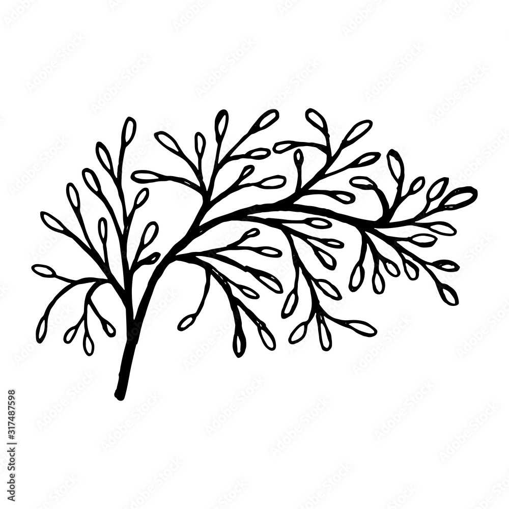 Naklejka premium Hand drawn plants and tree branches with leaves. Vector floral silhouettes. Graphic design elements. Black and white botanical illustration.
