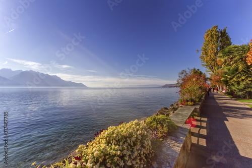 Plants and flowers on the lakeside of Geneva Leman lake at Montr © Elenarts