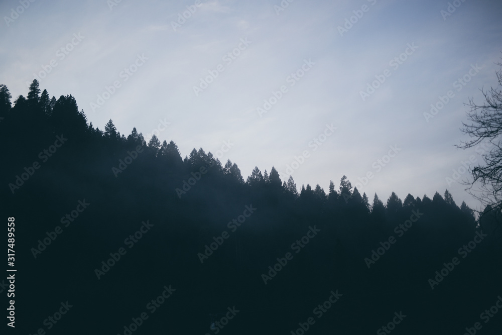 Obraz premium fog in the mountains