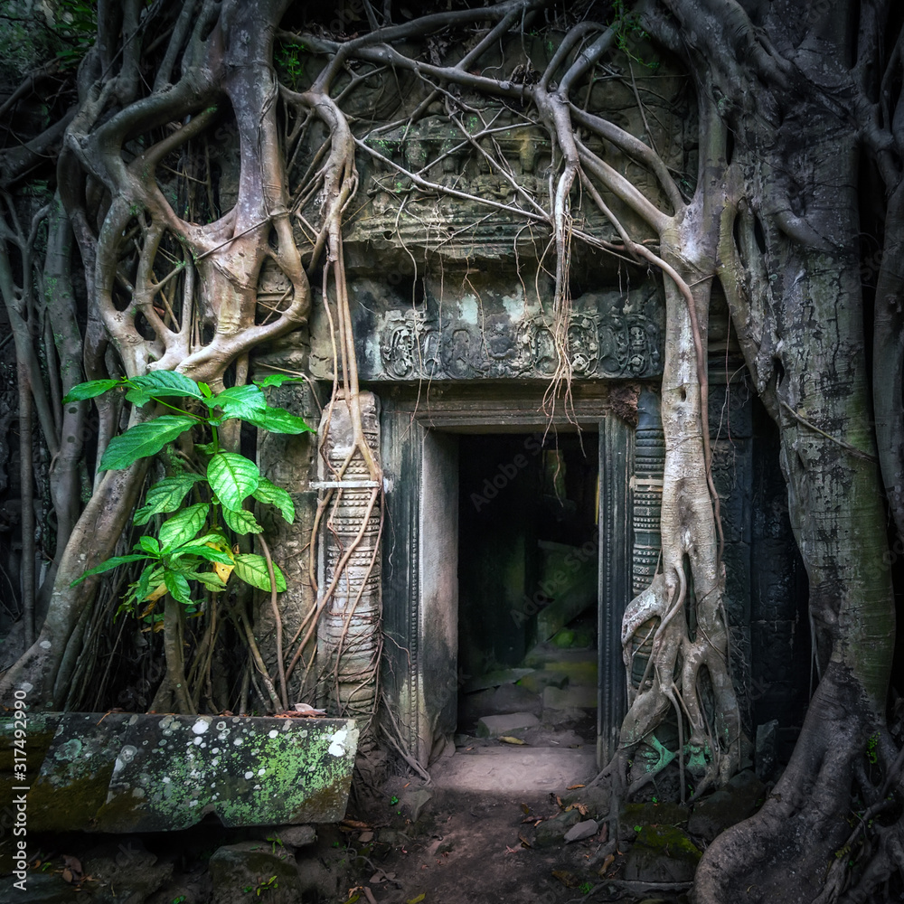 Ta Prohm temple with giant banyan tree at Angkor Wat complex, Siem Reap, Cambodia travel destinations Ta Prohm temple with giant banyan tree at Angkor Wat complex, Siem Reap, Cambodia travel destinations