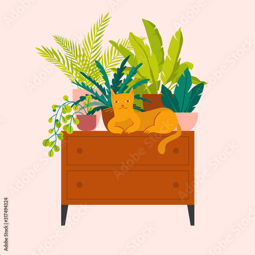 Vector illustration in flat trendy style - simple minimal interior with green decorative houseplants in pots and planters and cat - urban jungle illustration