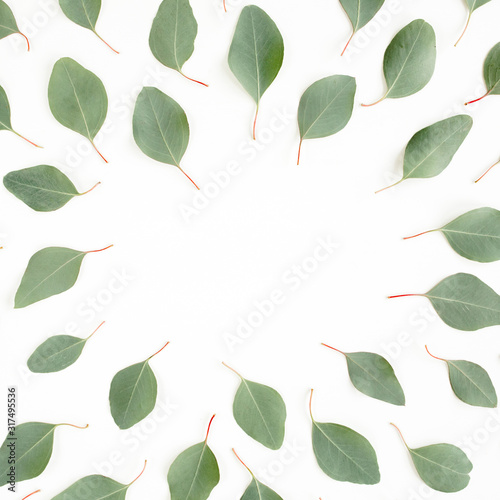 Frame made green leaves eucalyptus populus isolated on white background. Flat lay, top view