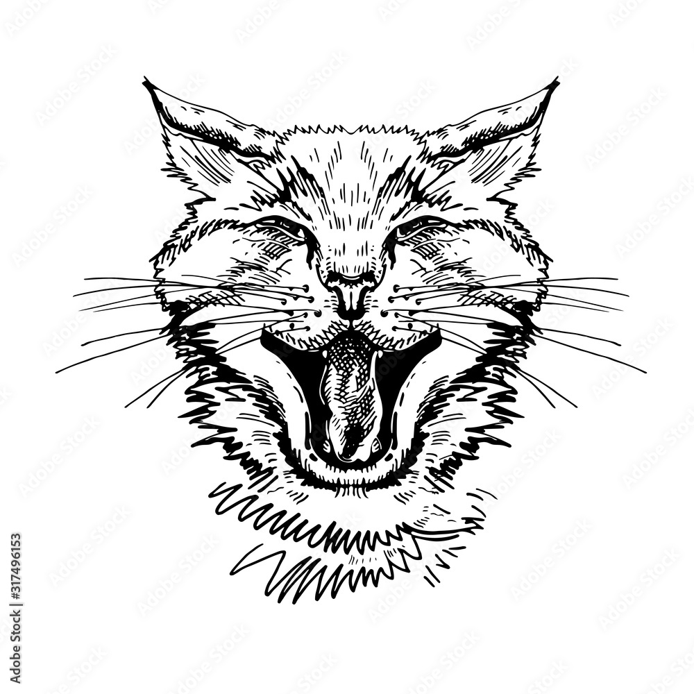 Portrait of a cat. Black and white graphics. Cat's head with open mouth and bared fangs. Portrait of a cat. Black and white graphics. Cat's head with open mouth and bared fangs.