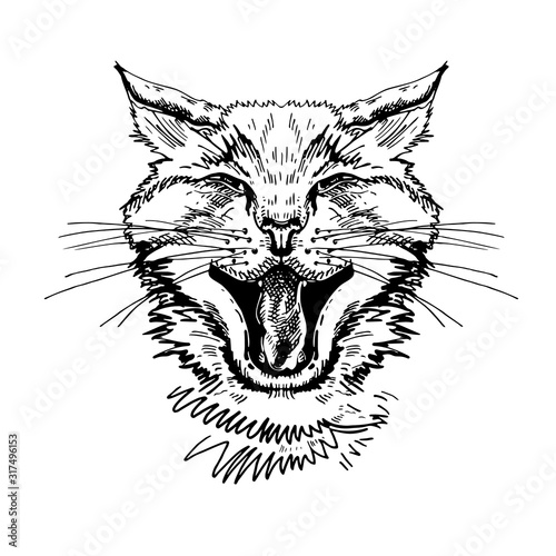 Portrait of a cat. Black and white graphics. Cat's head with open mouth and bared fangs.
