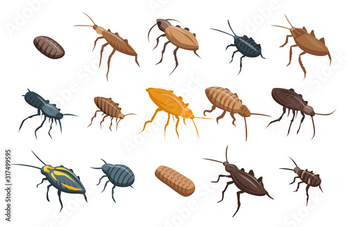 Cockroach icons set. Isometric set of cockroach vector icons for web design isolated on white background