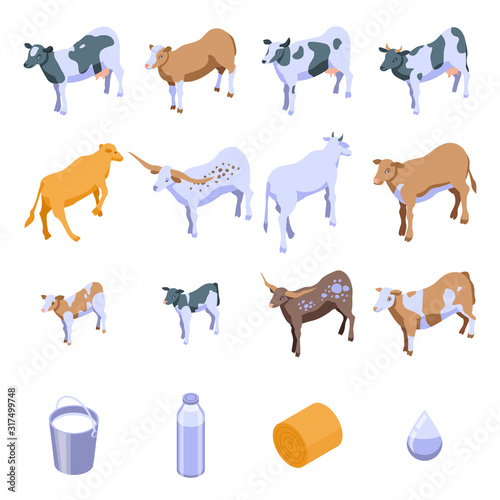 Cow icons set. Isometric set of cow vector icons for web design isolated on white background
