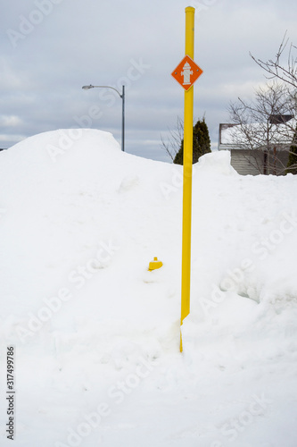 Fire hydrant covered in snow after a winter storm.