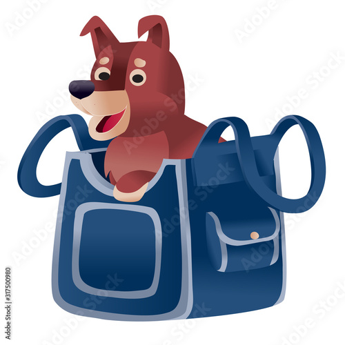 brown dog sitting in a blue carrier and waiting when he goes on a trip by plane or train, isolated object on a white background, photo