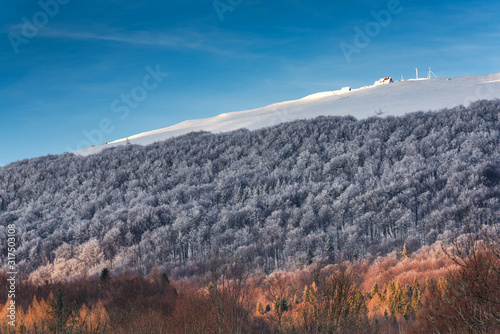 Fototapeta Naklejka Na Ścianę i Meble -  Refuge, Wooden Shelter Hut 