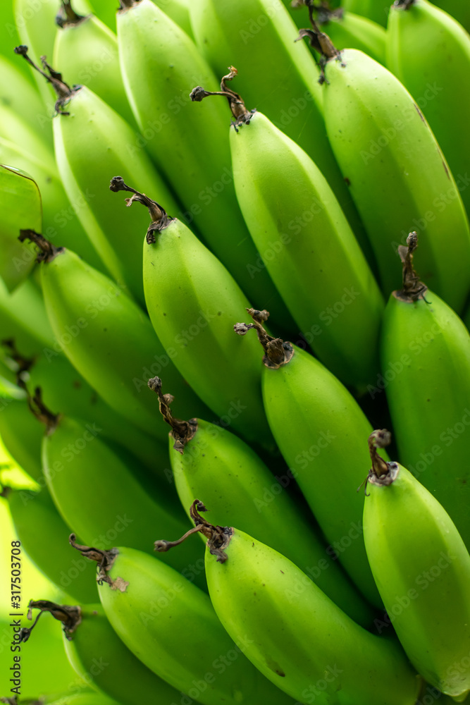  Bunch of bananas close up