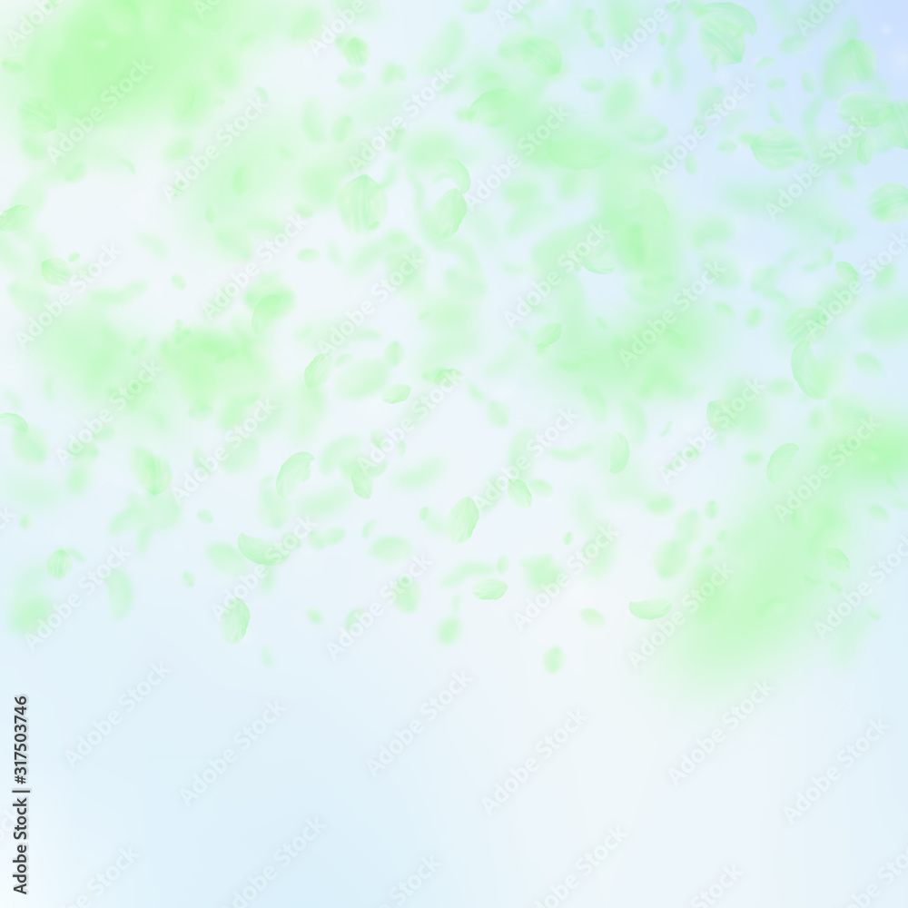 Green flower petals falling down. Rare romantic fl Green flower petals falling down. Rare romantic fl