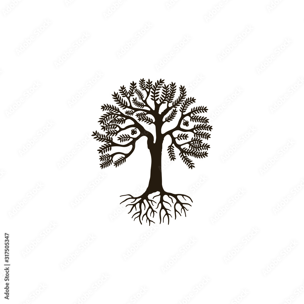 Fototapeta premium Tree with lush leaves, vector logo design isnpiration for your company