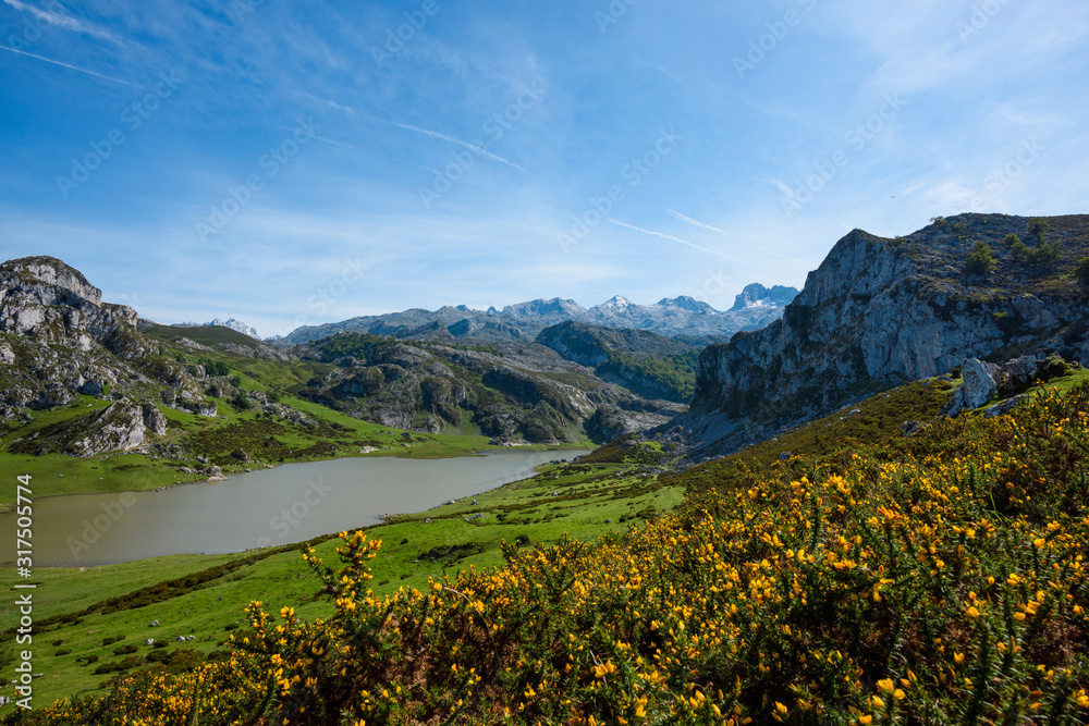 Ercina lake in Picos de Europa national park in Asturias Spain