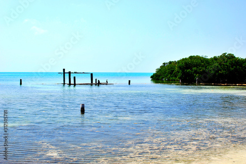 Isla Contoy is a declared area of Nature Reserve and National Wildlife Refuge photo