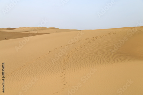 Sandy dunes in Kubuqi Desert  Inner Mongolia  China