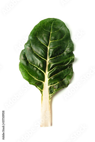 green chard leaf isolated on white background