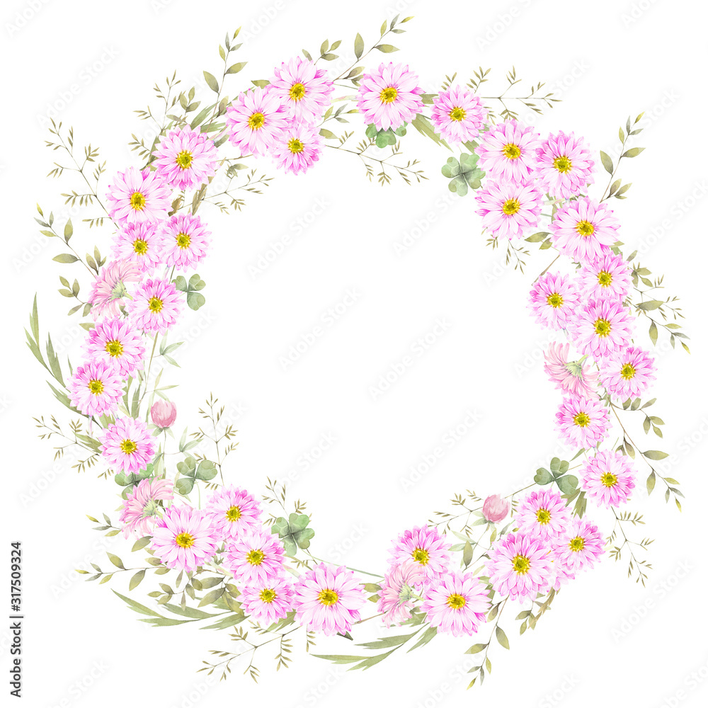 Floral round wreath of pink chamomile flowers and field herbs. Hand drawn watercolor illustration.