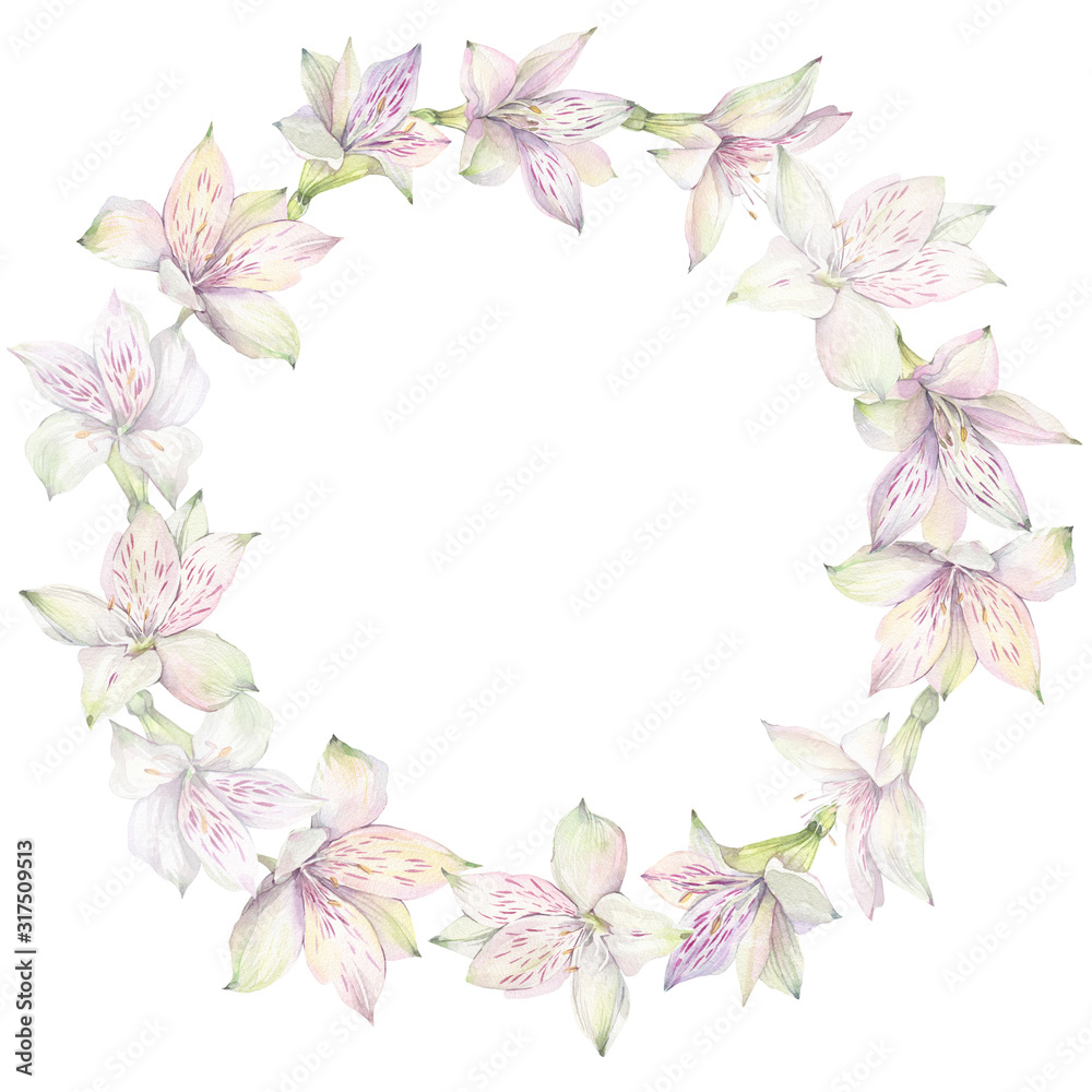 Floral round wreath of white alstroemeria flowers. Hand drawn watercolor illustration.