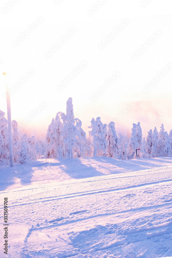 The snowy landscape of Lapland. The ski slope and trees are painted with the gentle light of the rising sun.