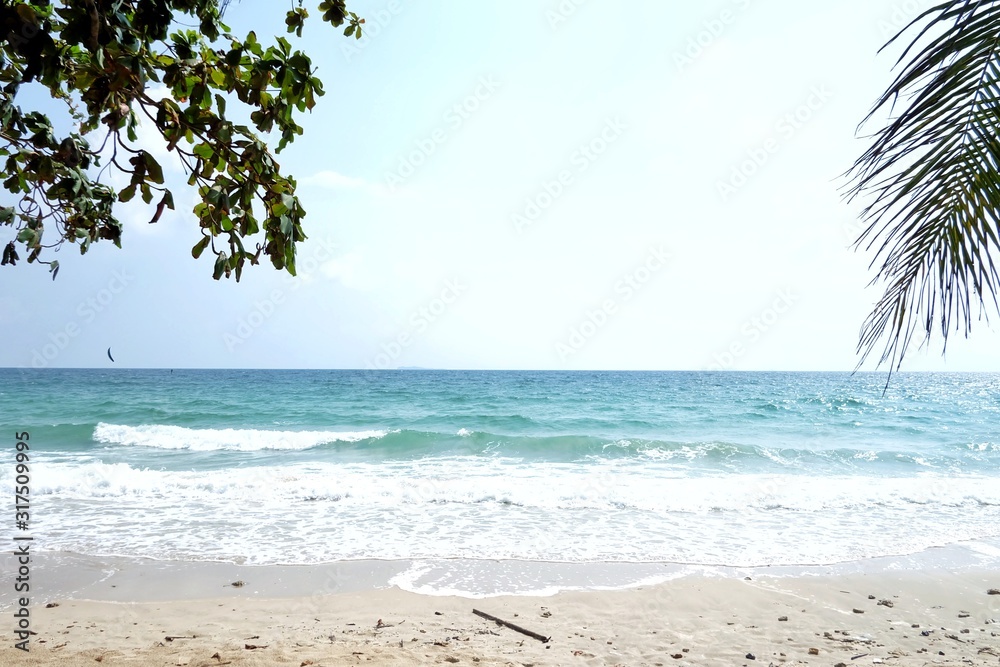 Tropical tree leaves with branches and seascape in bright day Tropical tree leaves with branches and seascape in bright day