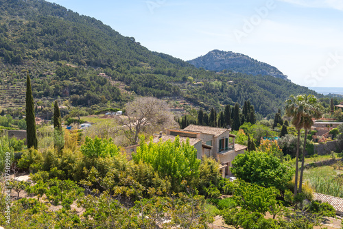 alldemossa, rural town in an idyllic valley in the midst of the Tramuntana mountains of west Mallorca. Baelaric islands, Spain photo
