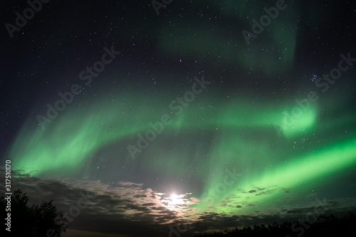 Aurora Borealis Northern lights over Icelandic sky © Danny Wanders