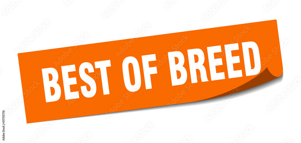 best of breed sticker. best of breed square sign. best of breed. peeler best of breed sticker. best of breed square sign. best of breed. peeler