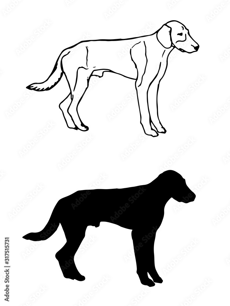 Naklejka premium Outline drawing of a dog, sketch