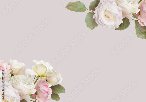 Floral banner, header with copy space. White roses isolated on pastel grey background. Natural flowers wallpaper or greeting card.