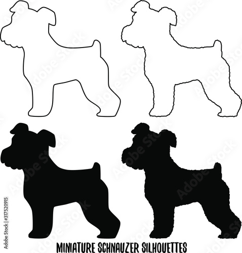 Set of Miniature Schnauzer silhouettes