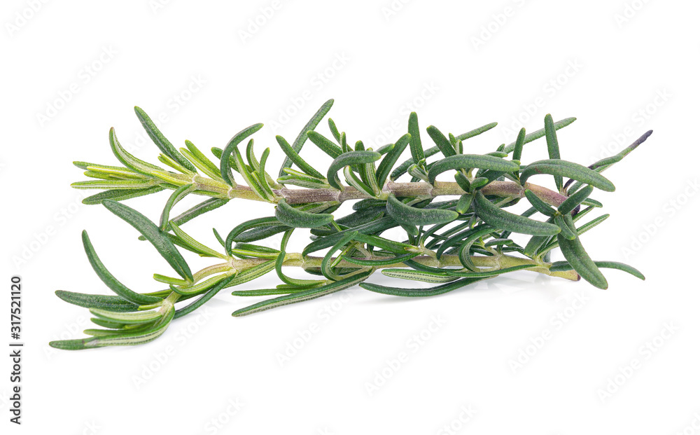 Fototapeta premium Rosemary isolated on white background