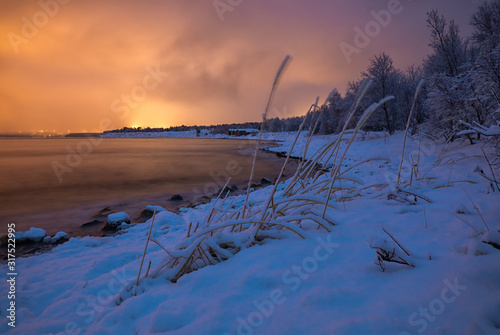 Fototapeta Naklejka Na Ścianę i Meble -  Winterlandschaft im leuchtenden Abendlicht an einem Fjord mit Schilf