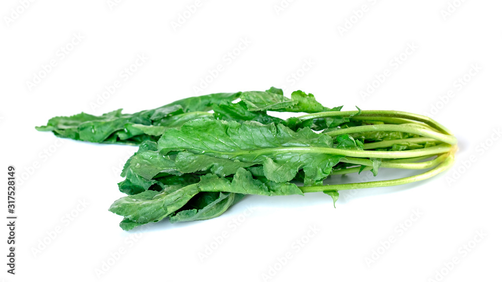 Living cress isolated on white background, vegetable. Living cress isolated on white background, vegetable.
