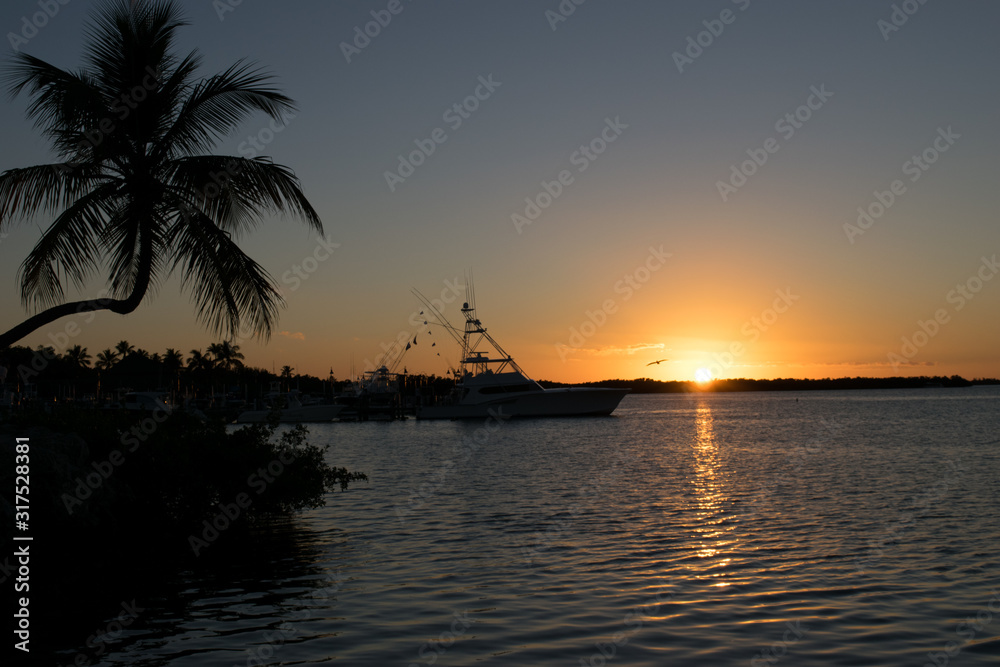 Fototapeta premium Palm & boat silhouette
