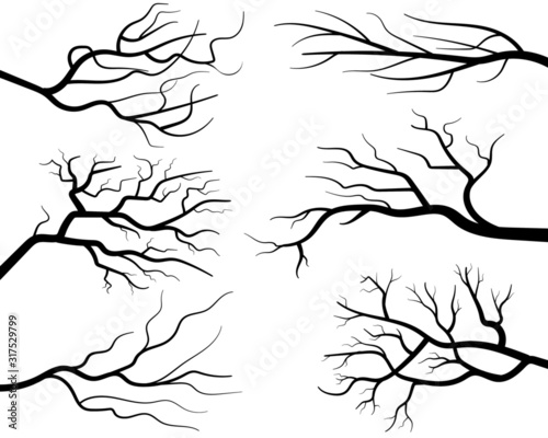 Black Branch Tree or Naked trees silhouettes set. Hand drawn isolated illustrations.