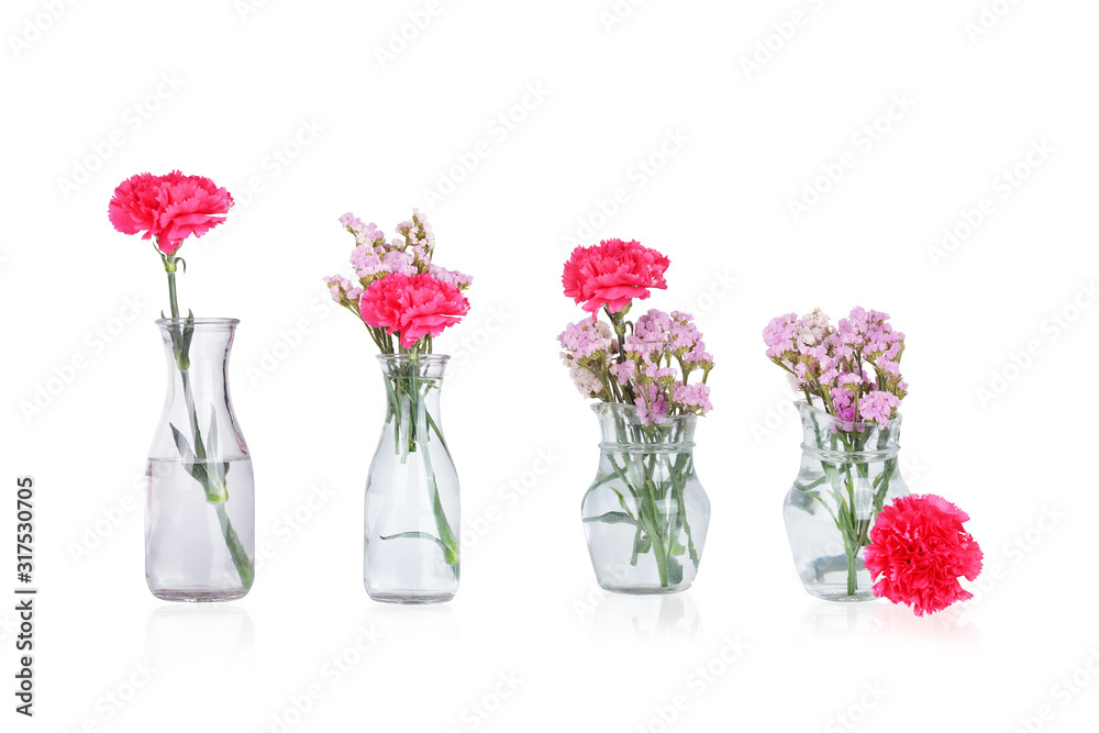 Fototapeta premium Pink carnation flower isolated on white background. This has clipping path.