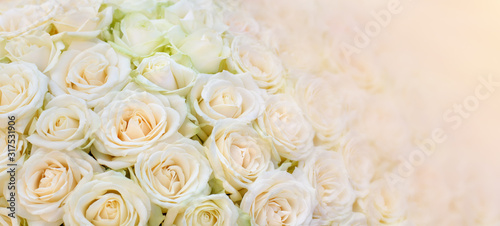 Flowers composition. Bouquet of white roses as a floral background or greeting card close-up with copy space