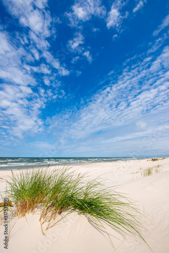 Fototapeta Naklejka Na Ścianę i Meble -  Beautiful summer landscape of sea coast and dunes