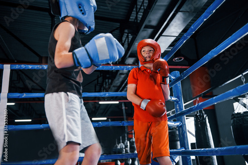 Two boys in protective equipment have sparring and fighting on the boxing ring