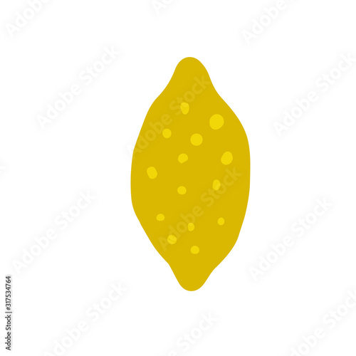 Hand drawn ripe lemon isolated on white background. Fresh organic citrus